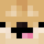 DogeKing2 DogeKing2