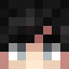 GooseLover500