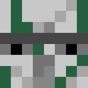 Steg1118