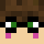 skeppyschild0_0