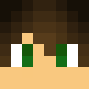 soartexx