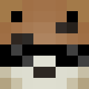 caann4