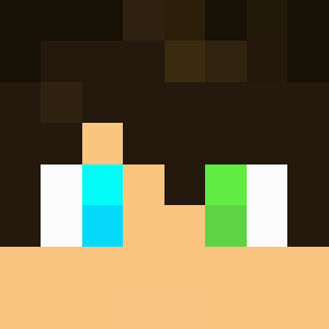 Svenprogamer12