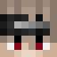 iRaid4Fun