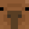 minecraft head