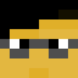 Vaidxrr