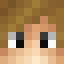 BlockKing55