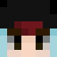 SafecatPVP