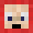 Player Skin Head