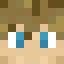 BritishSheep