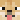 dogetheshiba01