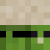 minecraft head