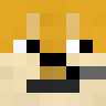DoggyDoge