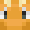 Player Skin Head