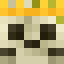 Kurses