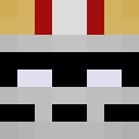 Panicam