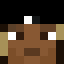 FlyFinch