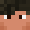 Player Skin Head