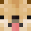 _doge_lover