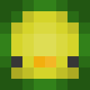 execc