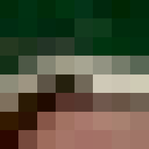 JMMR1