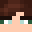 Alpacam1