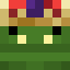 DMS_hyzer