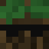 forest22849