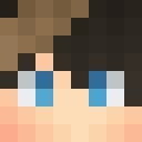 hasfix