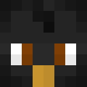 hida
