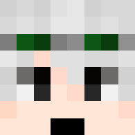 User minecraft head