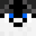 qSteve