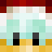 santa_duck