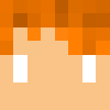 sybrentitan Minecraft skin head