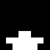 minecraft head