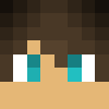 minecraft head