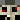 tomovkaxd
