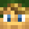 tyfang1