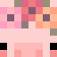 Skin de vickypalami