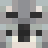x_koala_x