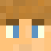 minecraft head