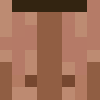 minecraft head