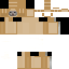ACAAAJ62009's minecraft skin