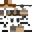 DragonninjaReece's minecraft skin