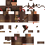 NanoDroide's minecraft skin