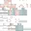 Raidiann's minecraft skin