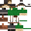 Sinsan_'s minecraft skin