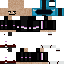 linkfan210's minecraft skin